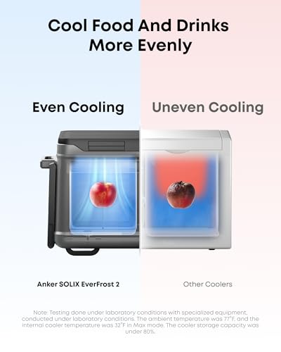 SOLIX EverFrost 2 40 L Electric Cooler