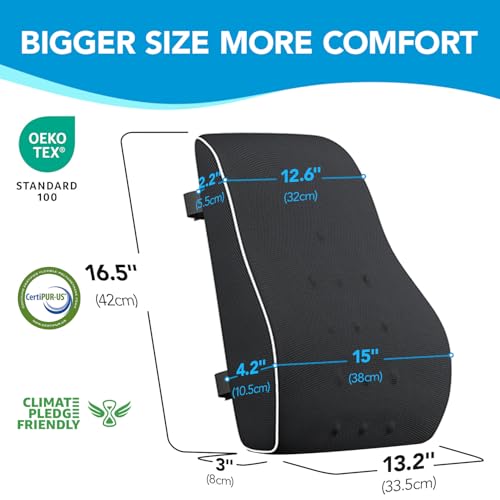 Lumbar Support Pillow for Office Chair