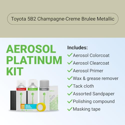 Car Paint Touch Up Spray Kit