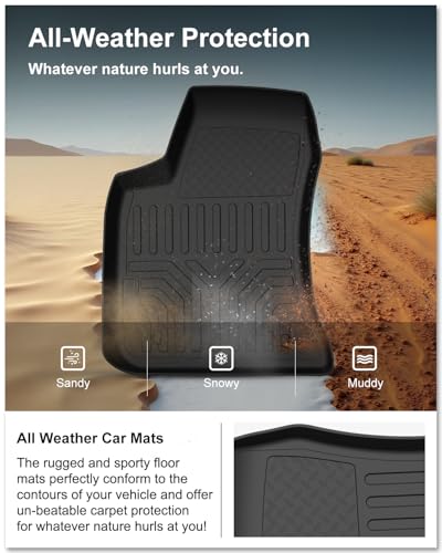 Floor Mats for 2011