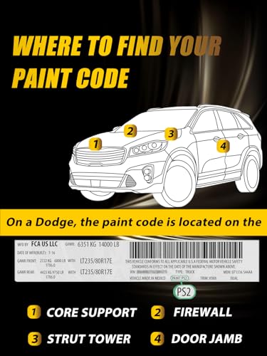 Touch Up Paint for Dodge Octane Red