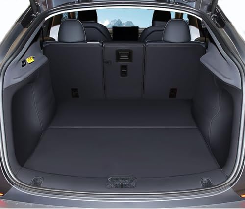 Compatible with 2026 Tesla Model Y Juniper Refresh 5