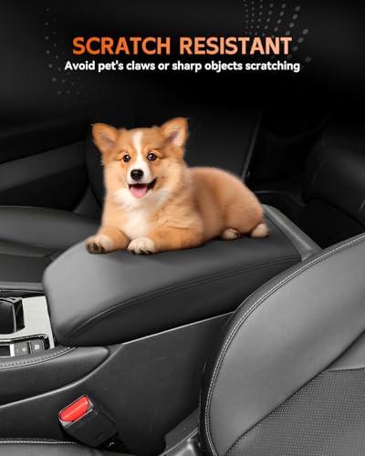 for Honda Accord 2023