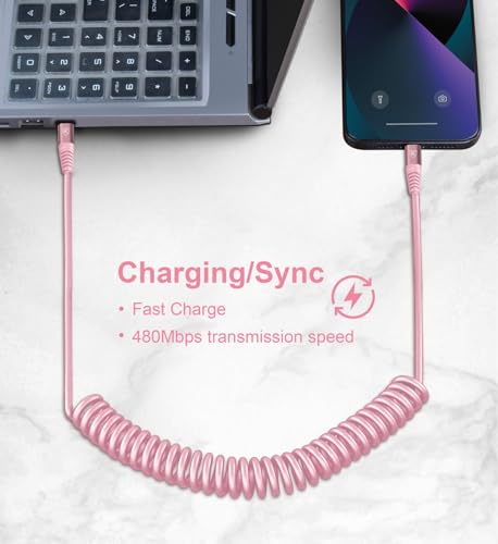USB C to Lightning Cable 3FT for Car (2 Count)