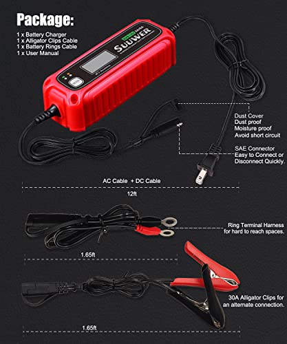 Automatic Battery Charger