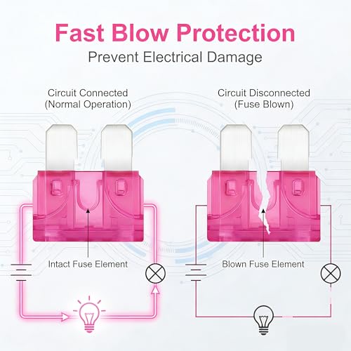 80Pcs) 4 Amp Standard Fuse, 4A Car Blade Fuses for Car/RV/Truck/SUV/Motorcycle/Boat (80 Count)
