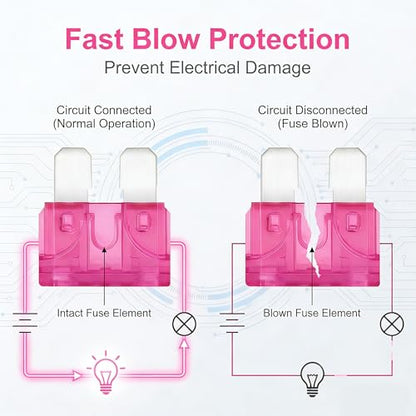 80Pcs) 4 Amp Standard Fuse, 4A Car Blade Fuses for Car/RV/Truck/SUV/Motorcycle/Boat (80 Count)