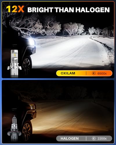 H13 LED Light Bulb (2 Count)
