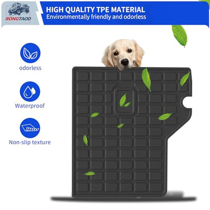 Back Seat Cover Protector for 2010