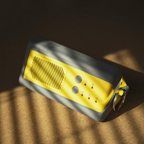 PA1K GO Portable Ozone Generator