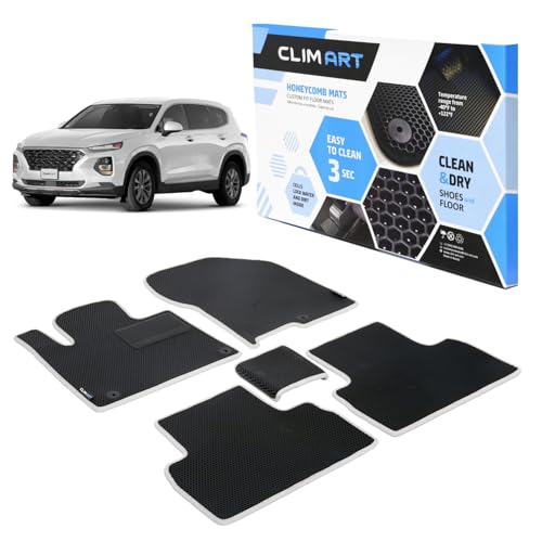 All Weather Car Floor Mats Compatible with Hyundai Santa Fe 2019