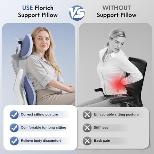 Lumbar Support Pillow and Neck Pillow for Office Chair Car