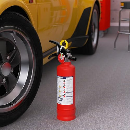 Signature ABC Fire Extinguisher for Home (40 Ounce)