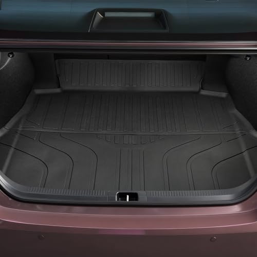 Cargo Mat for 2025
