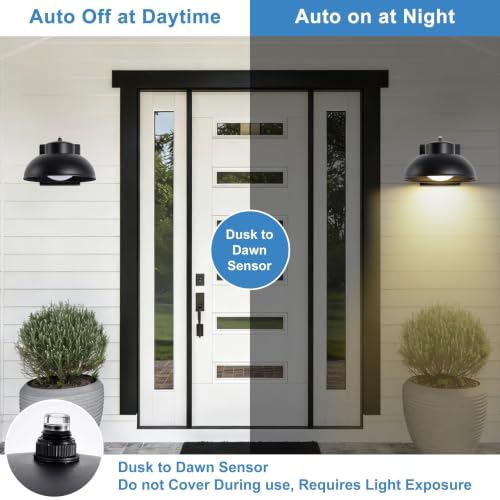 Black Exterior Light Fixtures (2 Count)