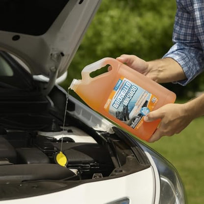 Windshield Washer Fluid 1 Gallon (128 Fl Oz)