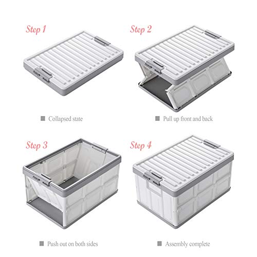 Collapsible Storage Bins with Lids 30L (2 Count)