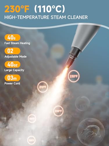 Steam Cleaner