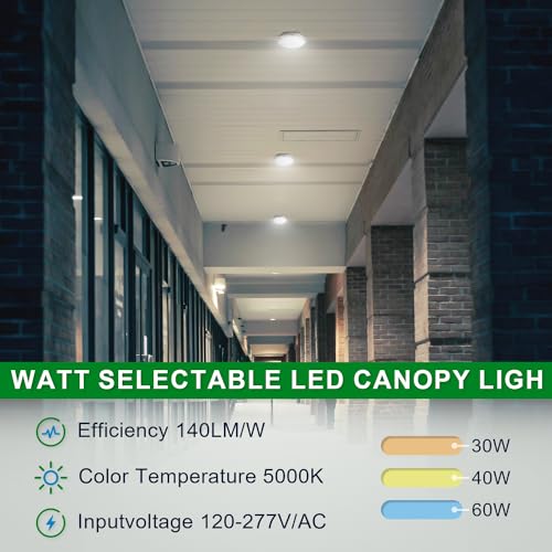 LED Canopy Garage Light Selectable Watt LED Carport Canopy Fixture Lights (208 Ounce)