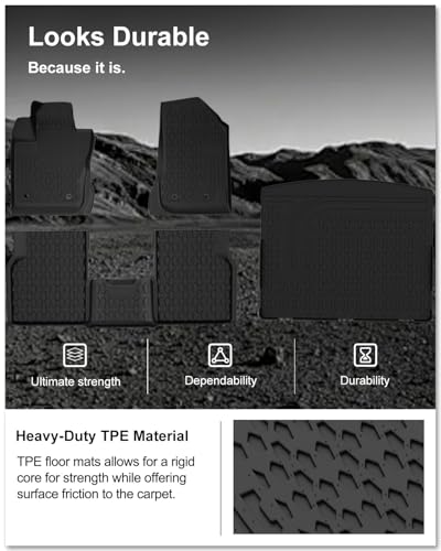 Floor Mats & Cargo Mat for 2017