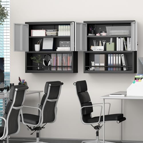 Metal Wall Cabinet with Adjustable Shelf