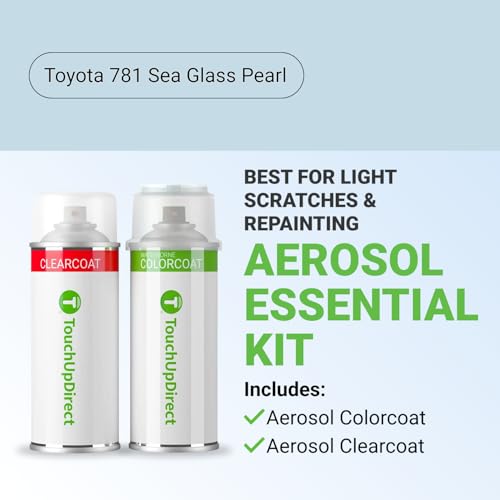 Car Paint Touch Up Spray Kit