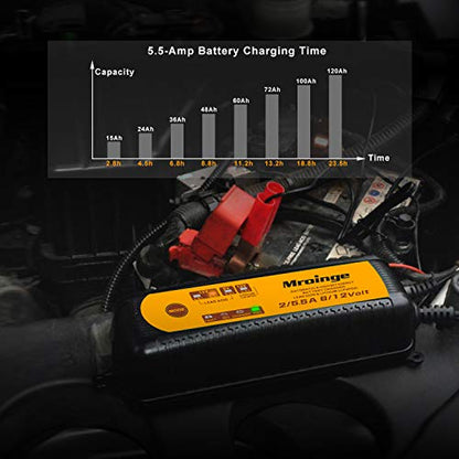 Smart Battery Charger
