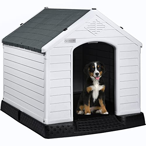 Large Dog House