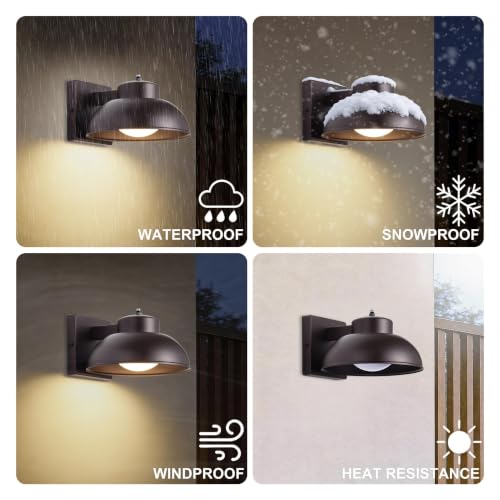 LED Outdoor Wall Lights (2 Count)