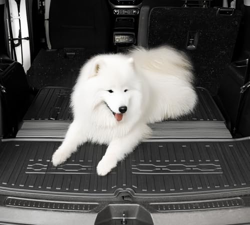 Floor Mats for GMC Acadia 2017
