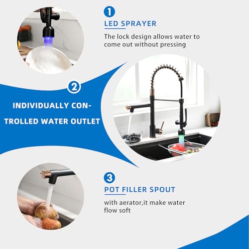 Single Handle Pull Down Sprayer Black&Rose Gold Kitchen Faucet