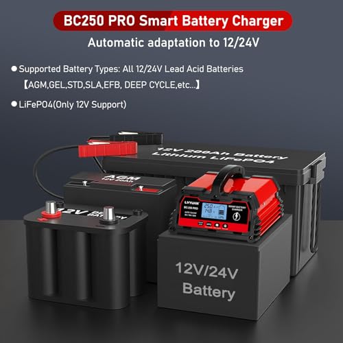 25Amp Smart Car Battery Charger