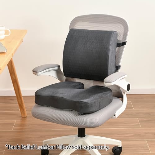 Lumbar Support Pillow for Office Chair