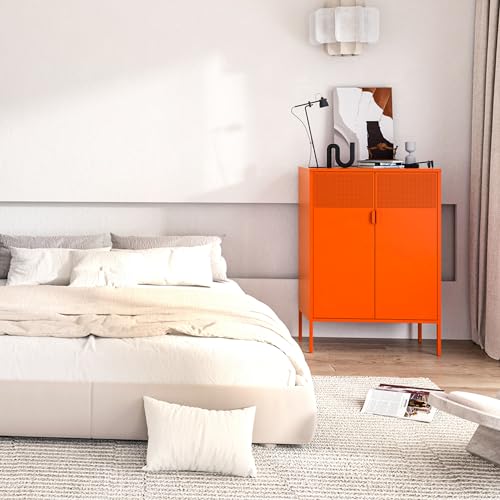 2 Mesh Door Metal Cabinet with Adjustable Shelves