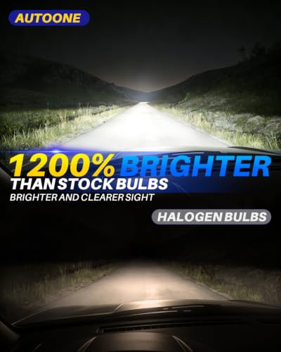 H7 LED Light Bulbs (2 Count)