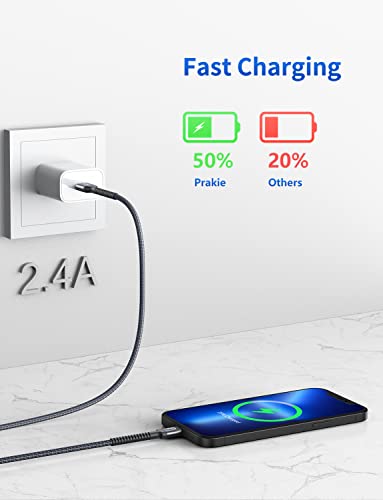 iPhone Charger (2 Count)