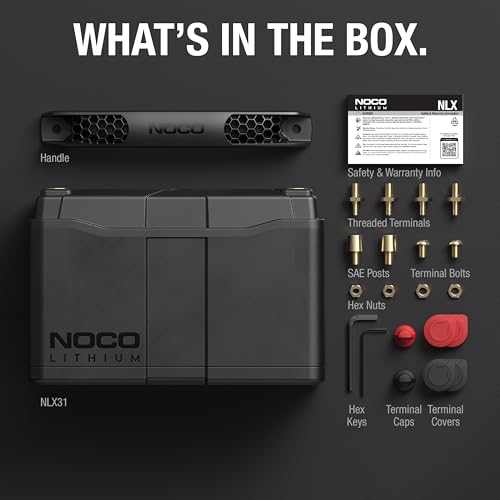 Lithium NLX31 Deep Cycle & Starter Battery