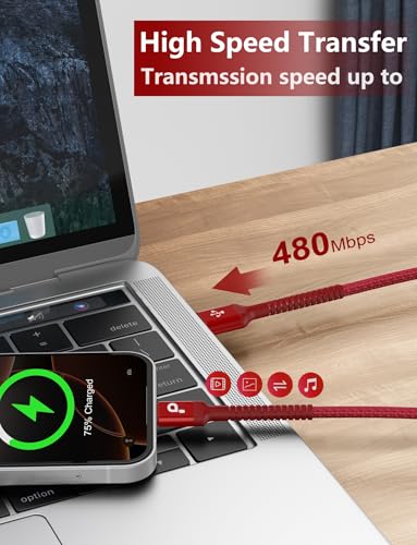 USB C Cable 10FT