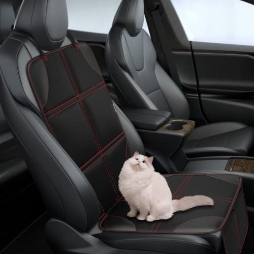 Car Seat Protector (2 Count)