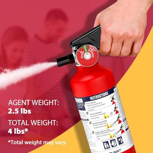 Signature ABC Fire Extinguisher for Home (2.5 pound(s))