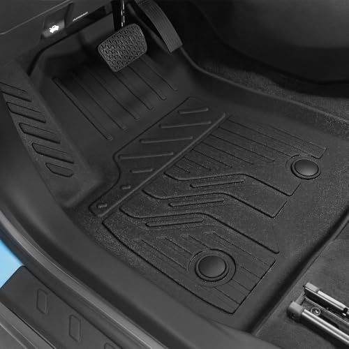 Floor Mats for 2021