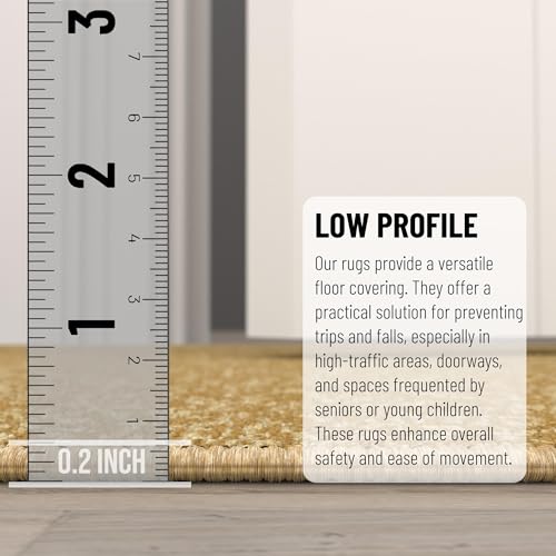 2x3 Entryway Rug