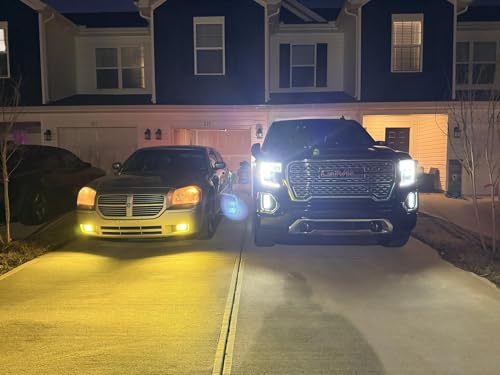 H11 LED Fog Light Bulb