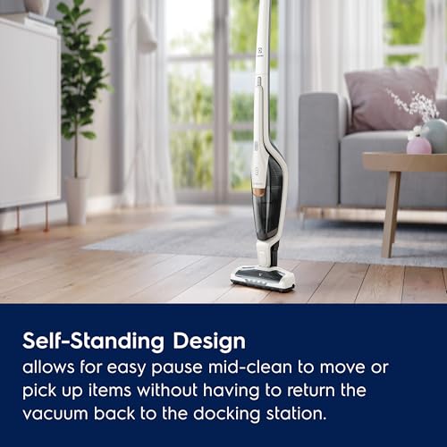 Ergorapido Cordless 2