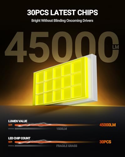 D1S D1R HID Bulbs (2 Count)