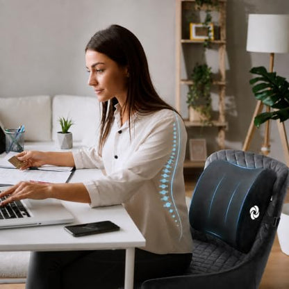Lumbar Support Pillow for Office Chair and Car Seat