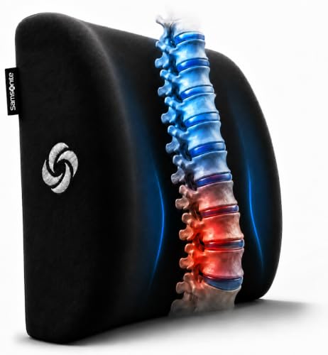 Lumbar Support Pillow for Office Chair and Car Seat
