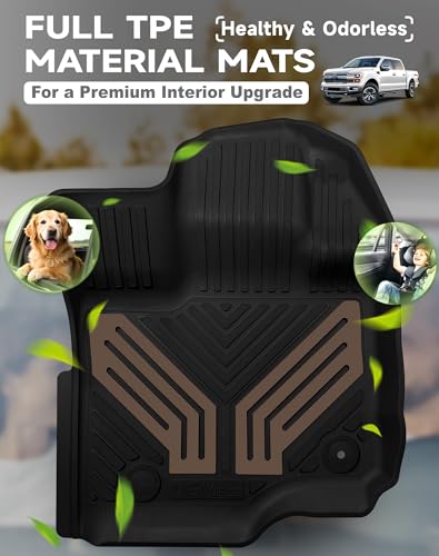 2 Piece Front TPE Floor Mats for Ford F