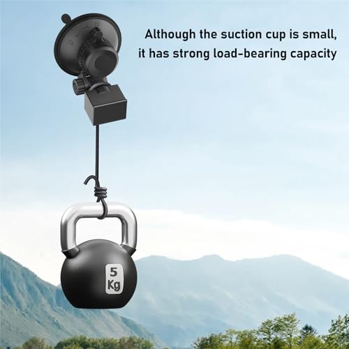 Suction Cup Mount