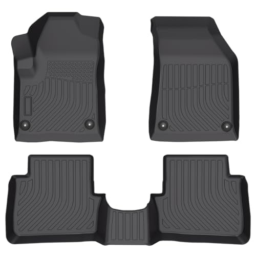 GINNOWY Floor Mats for 2011